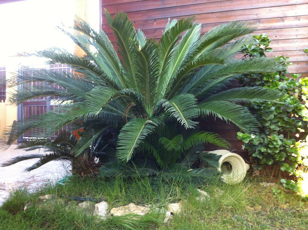 Villa Rosa Porto Empedocle Rum bild